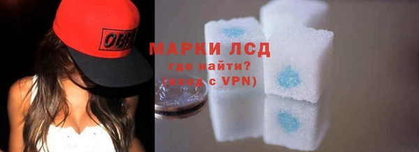 PSILOCYBIN Белокуриха