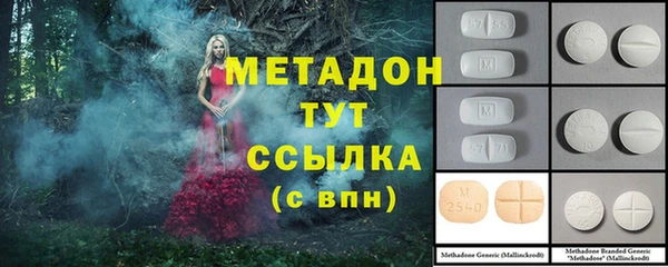 PSILOCYBIN Белокуриха