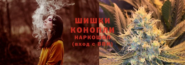 PSILOCYBIN Белокуриха