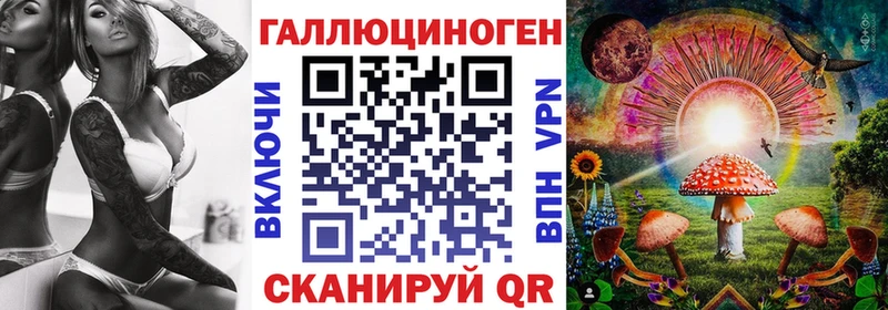 Галлюциногенные грибы Psilocybe  Шагонар 