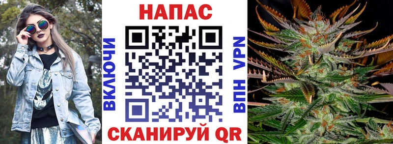 Конопля семена  где купить   Шагонар 